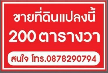 ขายที่ดินพัทยา ต.ห้วยใหญ่  อ.บางละมุง จ.ชลบุรี เนื้อที่ 200 ตารางวา ราคาเงินสด  2.9 ล้านบาท
