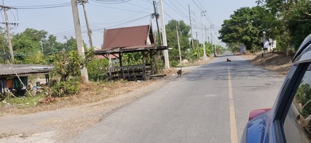 ที่ดินเลียบคลองระพีพัฒน์ 4 ไร่ โรงไฟฟ้าวังน้อย อยุธยา ราคาถูกแบ่งขายได้