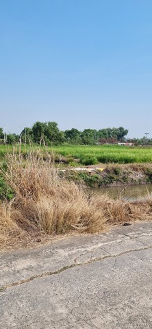 ที่ดินเลียบคลองระพีพัฒน์ 4 ไร่ โรงไฟฟ้าวังน้อย อยุธยา ราคาถูกแบ่งขายได้