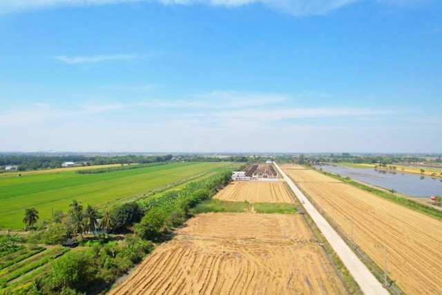 ที่ดิน คลอง8 บึงบอน35 หนองเสือ 1 ไร่ สวยมาก ติดถนนด้านหน้าคอนกรีต เหมาะทำโกดัง ปลูกบ้าน
