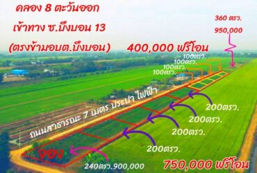 ที่ดินสวยราคาย่อมเยาว์แปลงเล็กน่ารัก คลอง8ตะวันออก บึงบอน13 หนองเสือ ปทุมธานี