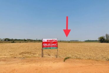 ขายที่ดินแปลงสวย  ต.หนองลาน  อ.ท่ามะกา จ.กาญจนบุรี  ราคาสุดพิเศษ โฉนดพร้อมโอน