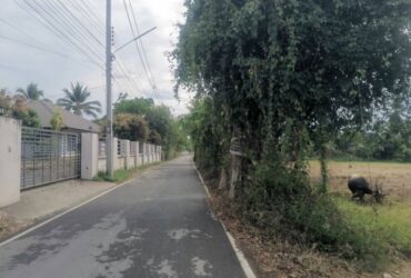 ขายที่ดินเหมาะสำหรับทำบ้านขาย  จัดสรรแบ่งขาย  สันนาเม็งสันทราย