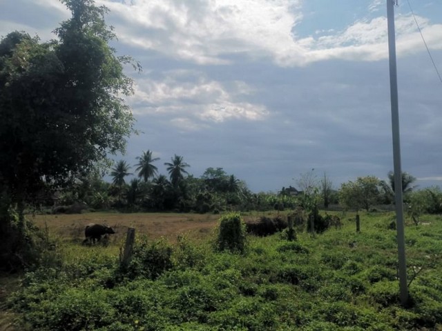 ขายที่ดินเหมาะสำหรับทำบ้านขาย  จัดสรรแบ่งขาย  สันนาเม็งสันทราย