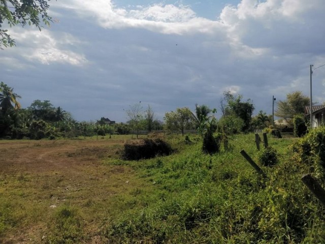 ขายที่ดินเหมาะสำหรับทำบ้านขาย  จัดสรรแบ่งขาย  สันนาเม็งสันทราย