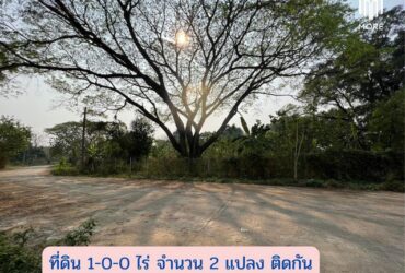 MORE-123LS ขายที่ดินซอยวัดดอนแก้ว 1 ไร่ (400 ตร.ว.)  ต.ดอนแก้ว อ.แม่ริม จ.เชียงใหม่