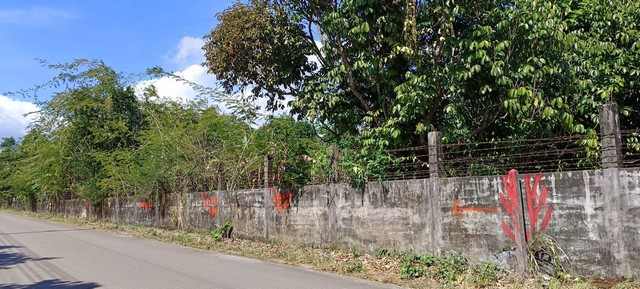ที่ดินมีอนาคตขายที่ดินสวนมังคุด  ราคาถูก พื้นที่ 2-2-70ไร่ ตำบลขลุง อำเภอขลุง จังหวัดจันทบุรี