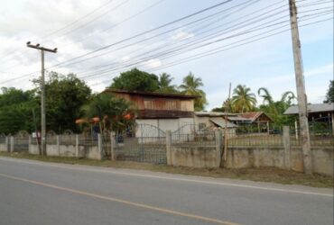 ขายบ้าน 3 หลัง ในเนื้อที่กว่า 2 ไร่ ทำเลติดถนน กิ่งอ.เอราวัณ, เลย PSC08613