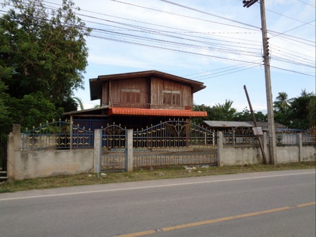 ขายบ้าน 3 หลัง ในเนื้อที่กว่า 2 ไร่ ทำเลติดถนน กิ่งอ.เอราวัณ, เลย PSC08613