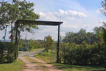 ขายสวนทุเรียนสวยๆ ตำบล ท่าหลวง อำเภอ มะขาม จังหวัด จันทบุรี พื้นที่ 22ไร่