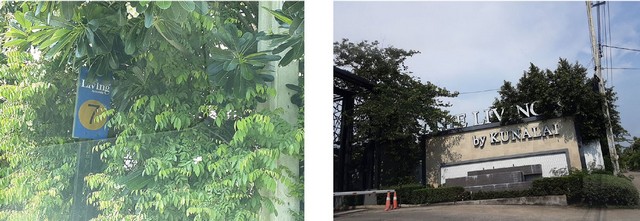 ขายบ้านเดี่ยว  โครงการเดอะ ลิฟวิ่ง 3 นนทบุรี (PKT173366)