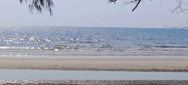 ขายที่ดินติดหาดเจ้าหลาว  อ.ท่าใหม่ จ.จันทบุรี  หาดทรายขาวละเอียด บรรยากาศธรรมชาติ เป็นส่วนตัว
