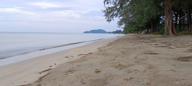 ขายที่ดินติดหาดเจ้าหลาว  อ.ท่าใหม่ จ.จันทบุรี  หาดทรายขาวละเอียด บรรยากาศธรรมชาติ เป็นส่วนตัว