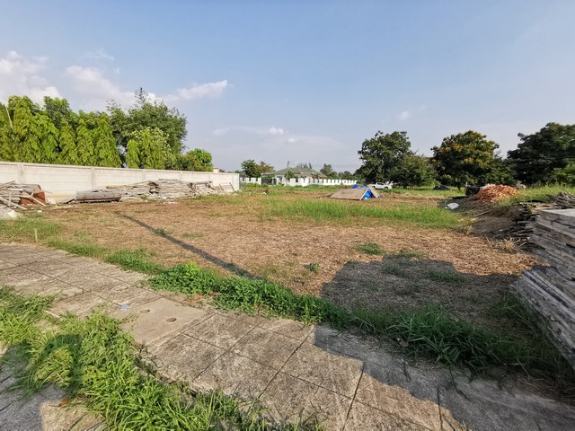 ขายที่ดิน 88 ตรว ท้ายเกาะ สามโคก ปทุมธานี หมู่บ้านเดอะลากูล 1-2 (The Lagoon) ขายเท่าราคาประเมิน