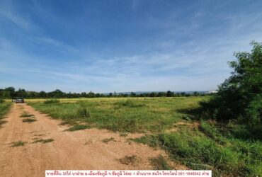 ขาย​ ที่ดิน​ 30ไร่​ นาฝาย​ อ.เมือง​ชัยภูมิ​ จ.ชัยภูมิ​ ใกล้ราชภัฏ​ชัยภูมิ​เพียง 2กิโล ขายไร่ละ 1 ล้านบาท