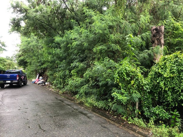 ขาย ที่ดิน รัชดา​ 204​ ตรว.​ ซอยรัชดาภิเษก​ 36​ แยก​ 19-3​ จันทรเกษม​ จตุจักร​ กรุงเทพฯ​