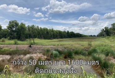ขายที่ดิน​ 49-3-41​ไร่​ เลียบ​คลอง​รพีพัฒน์​ พยอม​ วังน้อย​ อยุธยา​ เหมาะทำโครงการบ้านจัดสรร​