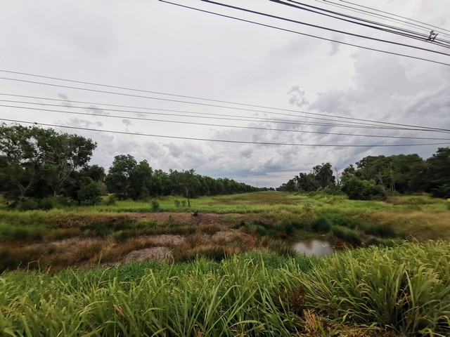 ขายที่ดิน​ 49-3-41​ไร่​ เลียบ​คลอง​รพีพัฒน์​ พยอม​ วังน้อย​ อยุธยา​ เหมาะทำโครงการบ้านจัดสรร​