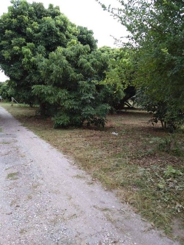 每平方窪地 8,000 泰銖，   ???? 425 平方窪地。在後面公共水渠，距離三賽醫院約3公里。#出口方便，離主幹道不遠。