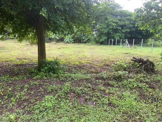 每平方窪地 8,000 泰銖，   ???? 425 平方窪地。在後面公共水渠，距離三賽醫院約3公里。#出口方便，離主幹道不遠。