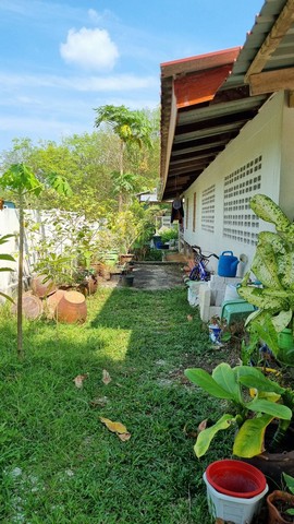 ขายบ้านเดี่ยวชั้นเดียว พื้นที่ 250 ตรว. โซนพารา ถลาง