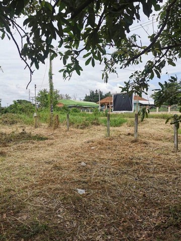 最便宜的價格，每平方窪地4,200泰銖，面積3萊，39平方窪地  #Suan Sammai 的土地  ????#韓開區  #杭東
