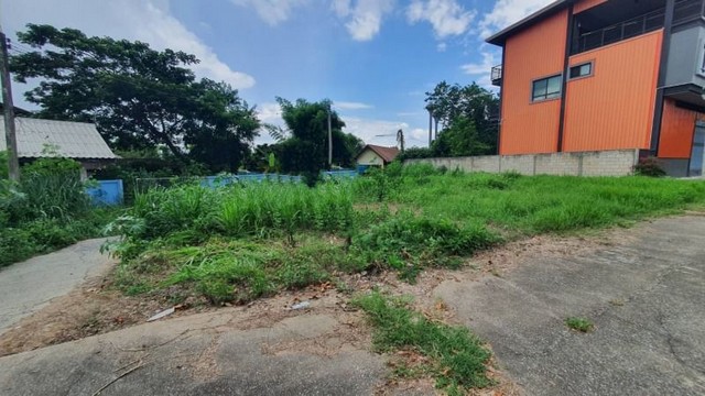 待售建房用地或為生活而建,  土地出售，28,000 泰銖/平方窪，面積 102 平方窪。  #農葵  杭東