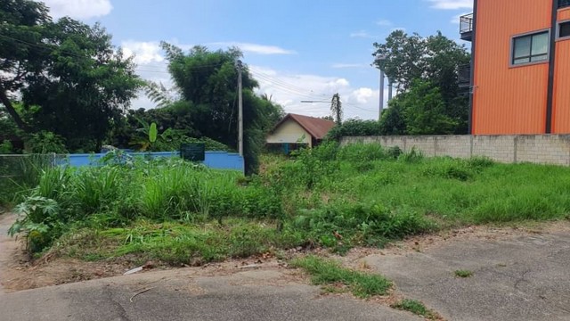 待售建房用地或為生活而建,  土地出售，28,000 泰銖/平方窪，面積 102 平方窪。  #農葵  杭東