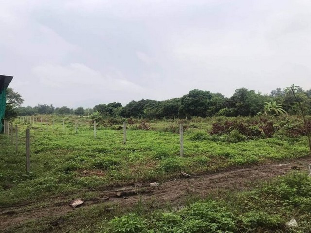 臨水之地，陰涼大氣，涼爽舒適，售價250萬塊，面積2-3-15平方窪。索美卡,  杭東 ,  在馬路旁邊