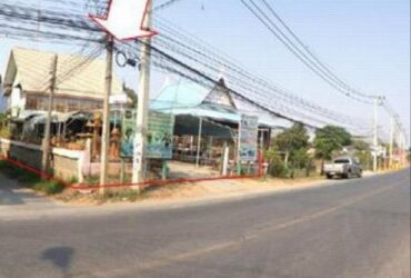 บ้าน 2 หลัง และสระว่ายน้ำส่วนตัว 145 ตร.ว. อยุธยา PSC08914