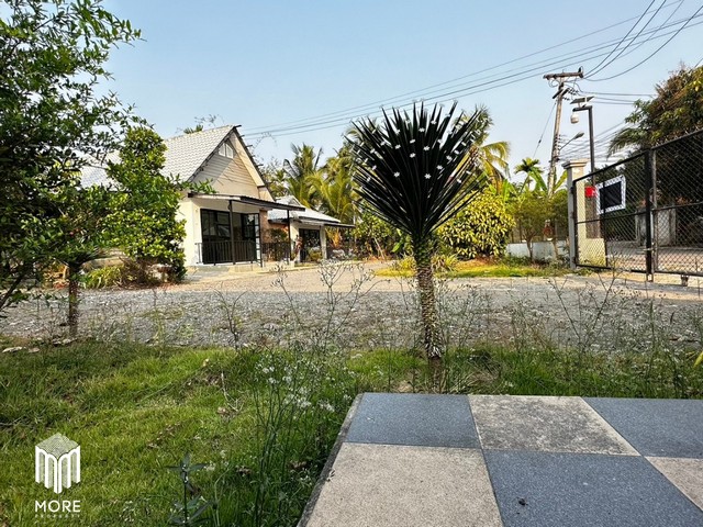 More-157HS ขายบ้านพร้อมที่ดิน 4นอน 4 น้ำ เนื้อที่ 246 ตร.วา ใกล้ที่ว่าการอำเภอสันทราย