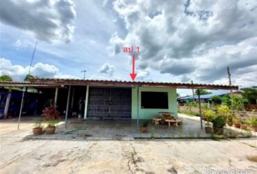 ขายบ้านเดี่ยว 791 ตร.ว. มีโรงเพาะเห็ด บ่อทอง,ชลบุรี PKK02-14746