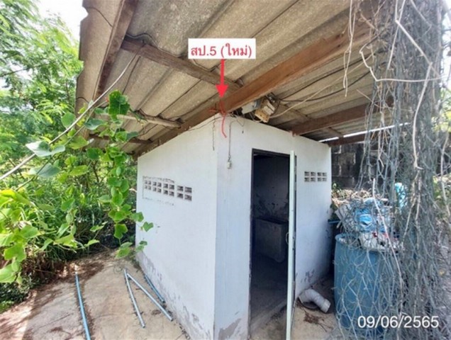 ขายบ้านเดี่ยว 791 ตร.ว. มีโรงเพาะเห็ด บ่อทอง,ชลบุรี PKK02-14746