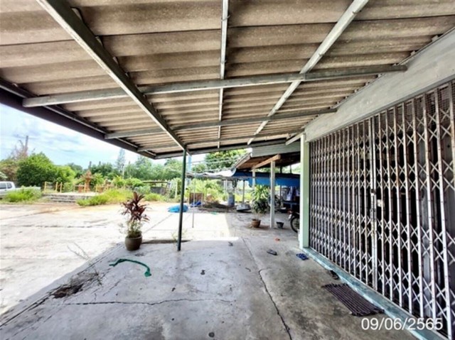 ขายบ้านเดี่ยว 791 ตร.ว. มีโรงเพาะเห็ด บ่อทอง,ชลบุรี PKK02-14746