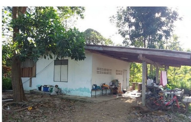 ขายบ้านเดี่ยว พร้อมอาคารร้านค้า พนมสารคาม ฉะเชิงเทรา PSC10059