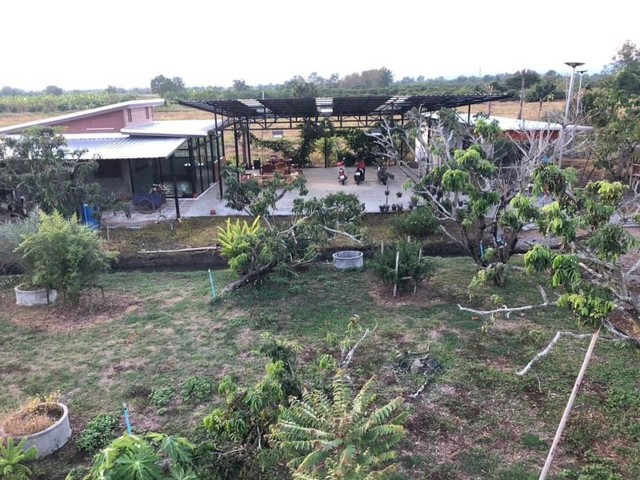 คุ้มมาก #บ้านสวนในฝัน​ 6.5 ล้าน  เนื้อที่ 5 ไร่ #บ้านสวนเกษตรผสมผสาน​ #หารแก้ว  หางดง