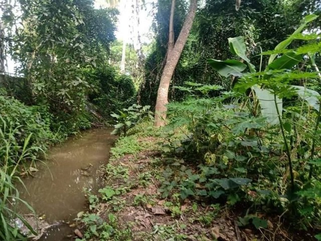 ที่ดินแปลงสวย​เชิงดอยสุเทพ  ติดคูเมืองเก่าแก่ที่สุดในเชียงใหม่​ (เวียงเจ็ดลิน)  พื้นที่สีเหลือง​ สามารถสร้างอาคารสูงได้