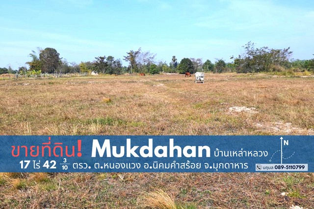 ขายที่ดิน บ้านเหล่าหลวง อ.นิคมคำสร้อย จ.มุกดาหาร 17 ไร่ 42 ตรว. 6 ล้านบาท