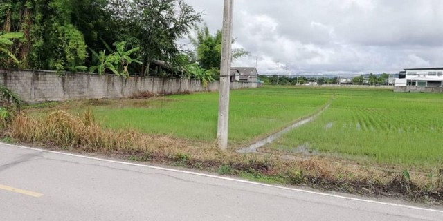 ขายต่ำกว่าราคาตลาด  ที่นา ติดถนน 4​ ไร่​  #น้ำแพร่ #หางดง