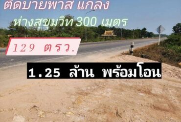 ขายที่ดินติดถนน บายพาสแกลง ทำเลค้าขาย  อำเภอแกลง จังหวัดระยอง