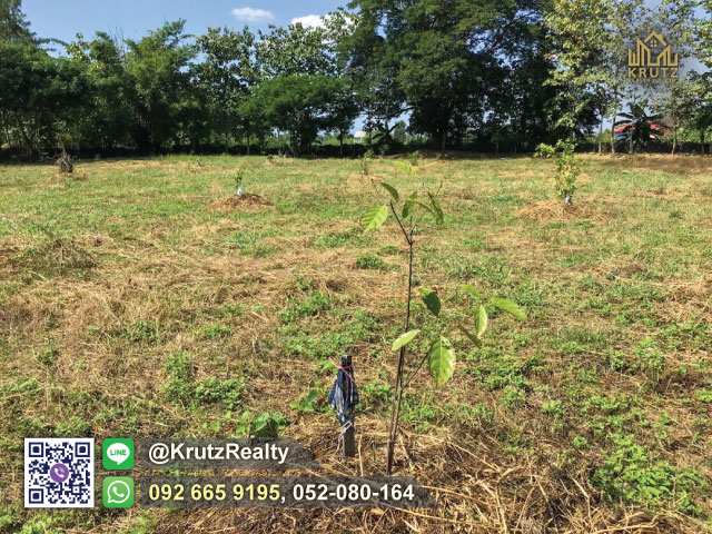 ขายที่ดินแม่ปูคาแปลงสวย ติดถนนเนื้อที่ 2 ไร่ 3 งาน 55 ตร.ว. ต.แม่ปูคา อ.สันกำแพง จ.เชียงใหม่