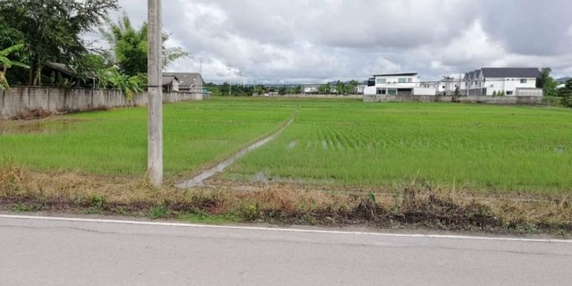 ขายด่วนมีแปลงเดียวเท่านั้น​ ติดถนน #น้ำแพร่ #หางดง​